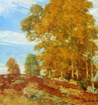 No Frame (Rolled in a Tube)