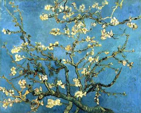 Vincent van Gogh