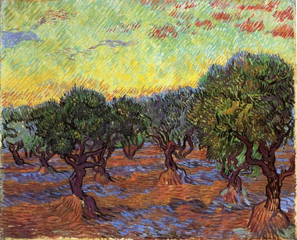 Olive Grove: Orange Sky