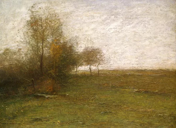 Landscape at Feu de Broussailles
