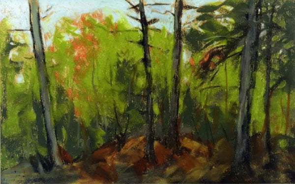 Woodland Scene, Monhegan, Maine