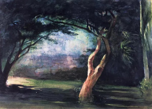 Study of Trees in Moonlight, at Honolulu