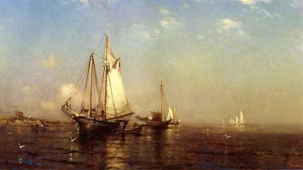 Calm Morning, Boer's Head