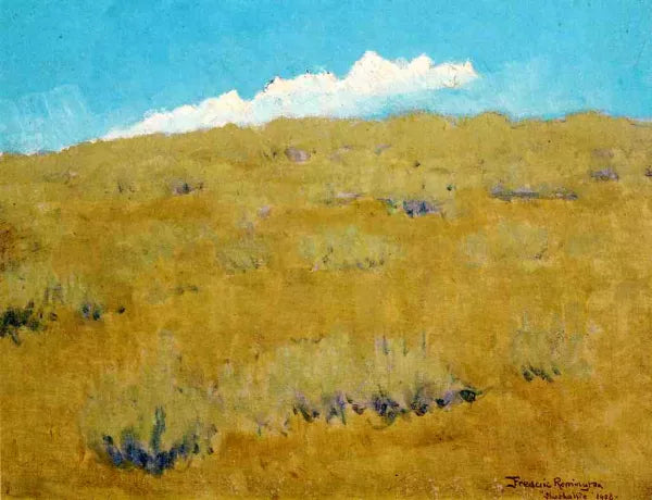 Pastures and Meadows