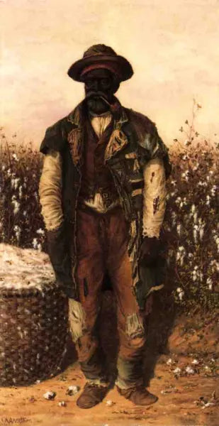 Cotton Picker