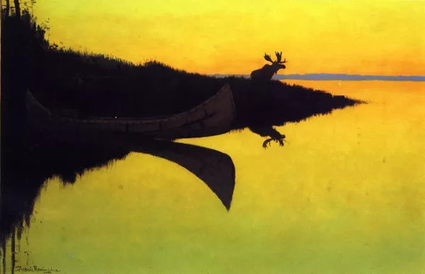 Wild Animals