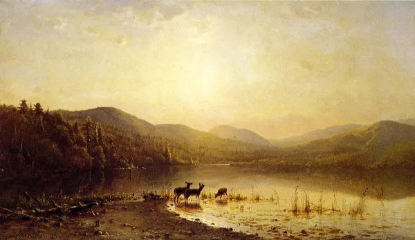 At the Water's Edge
