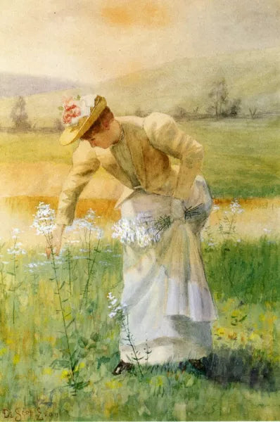 Woman Picking Flowers