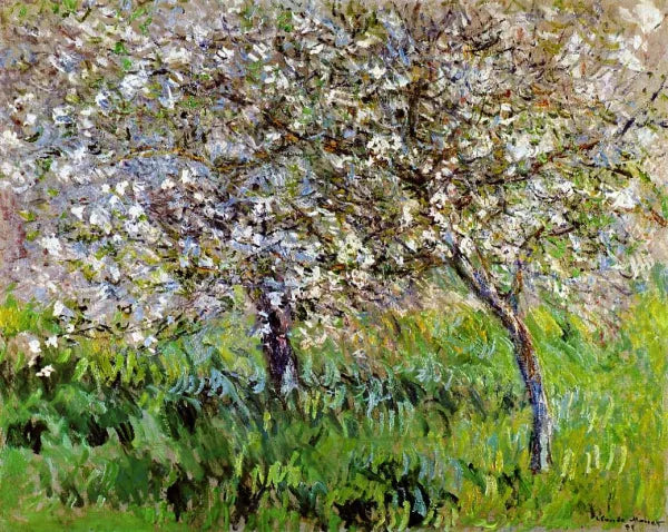 Apple Trees in Bloom at Giverny