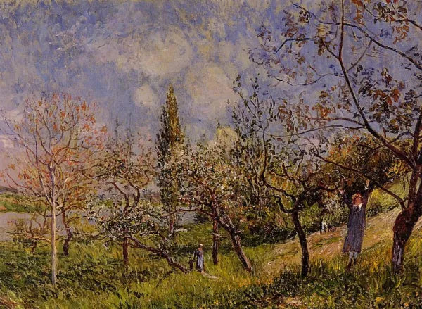Orchard in Spring