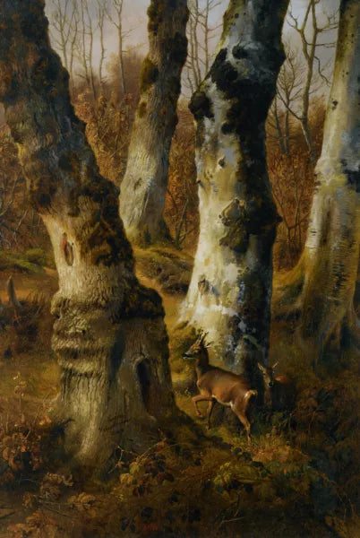 Deer in a Wood