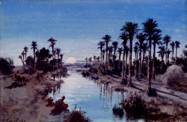 An Oasis at Night