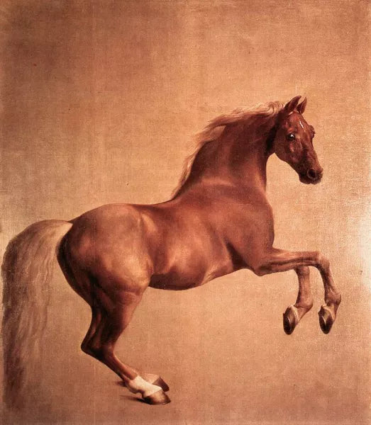 Whistlejacket