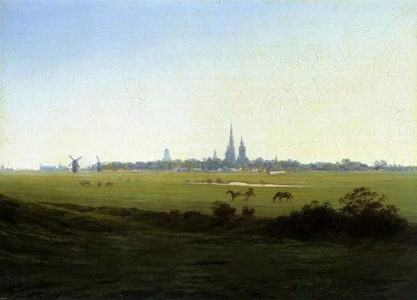 Meadows Near Greifswald