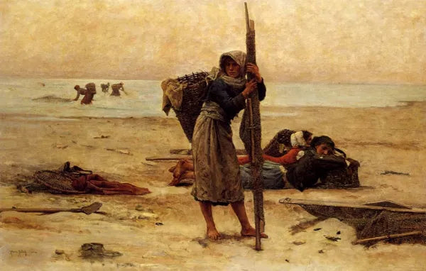 Shorelines