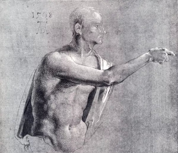 Male Nude, Half Length