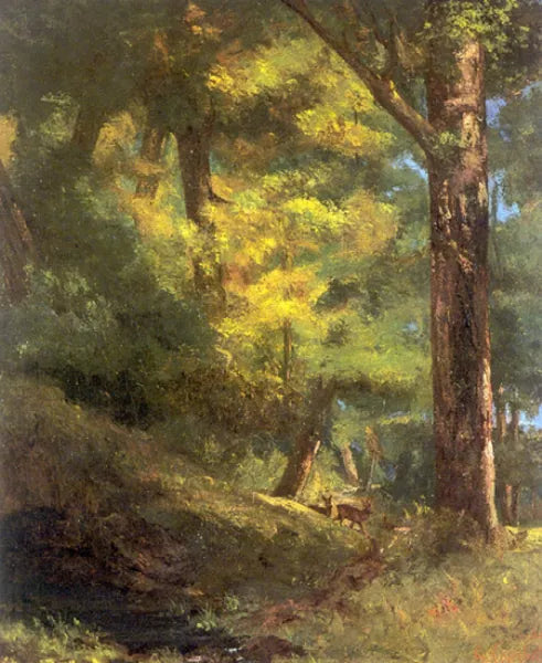Deux Chevre Uils Dans la Foret