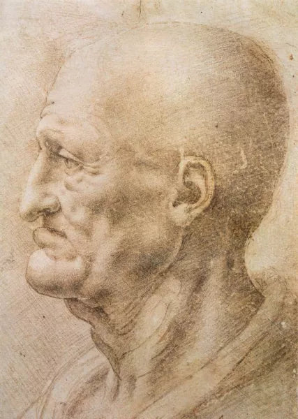 Profile of an Old Man