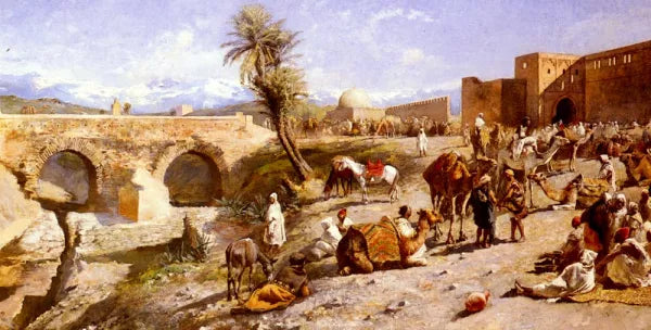 Camels and Llamas