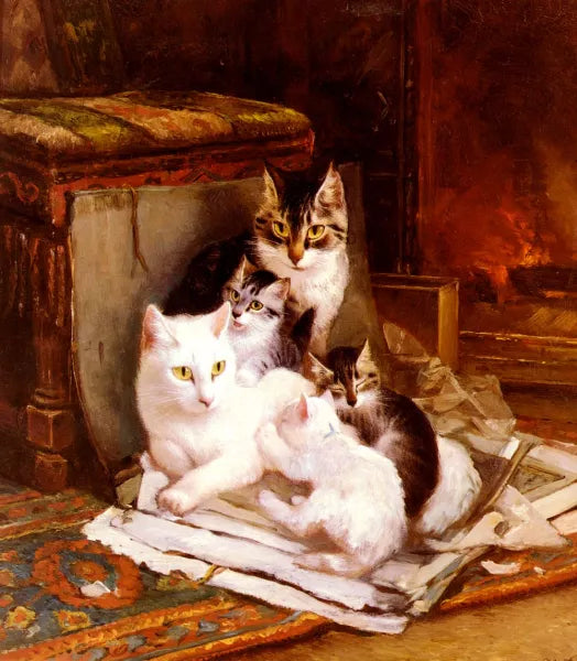 Cats and Kittens