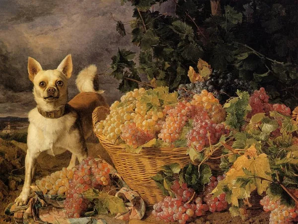 A Dog by a Basket of Grapes in a Landscape