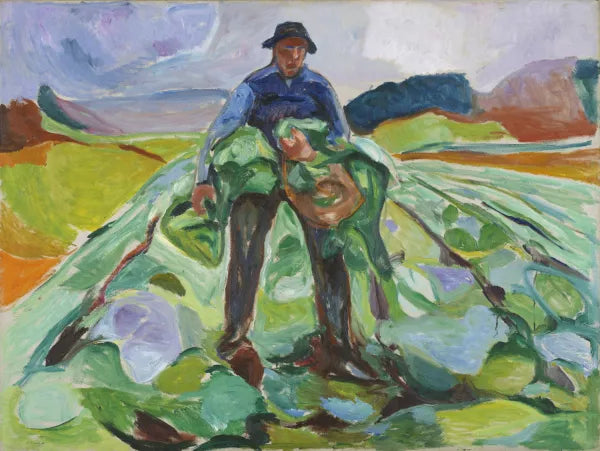 Man in the Cabbage Field