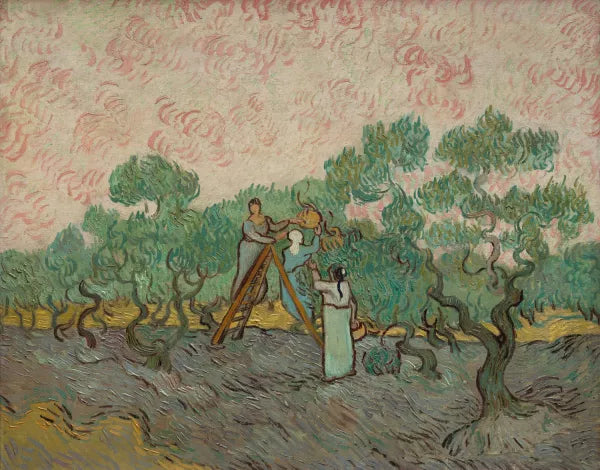 Women Picking Olives