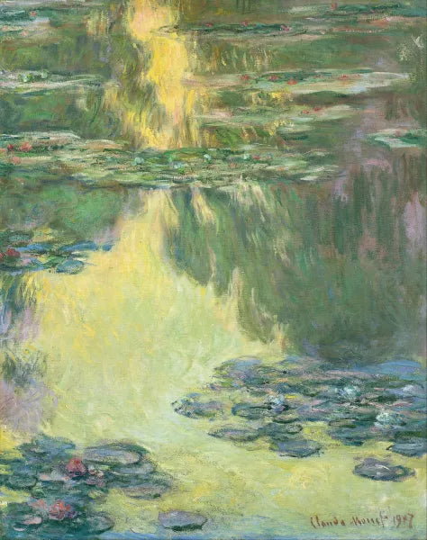 Waterlilies