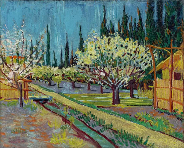 Orchard Bordered by Cypresses