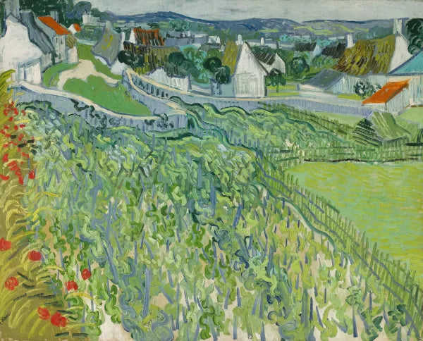 Vineyards at Auvers