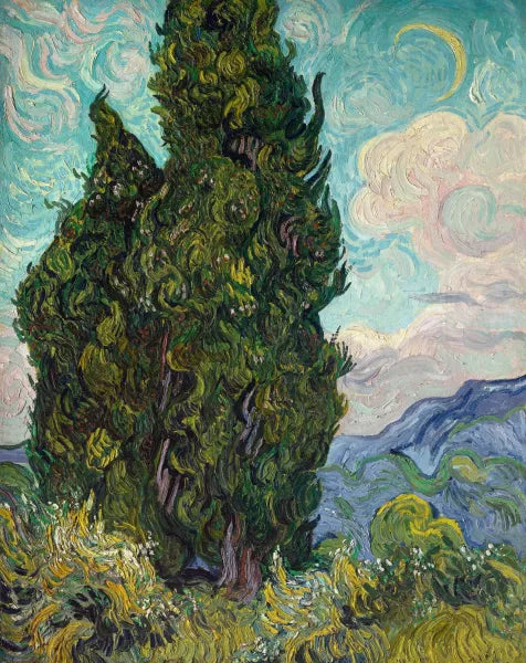 Cypresses