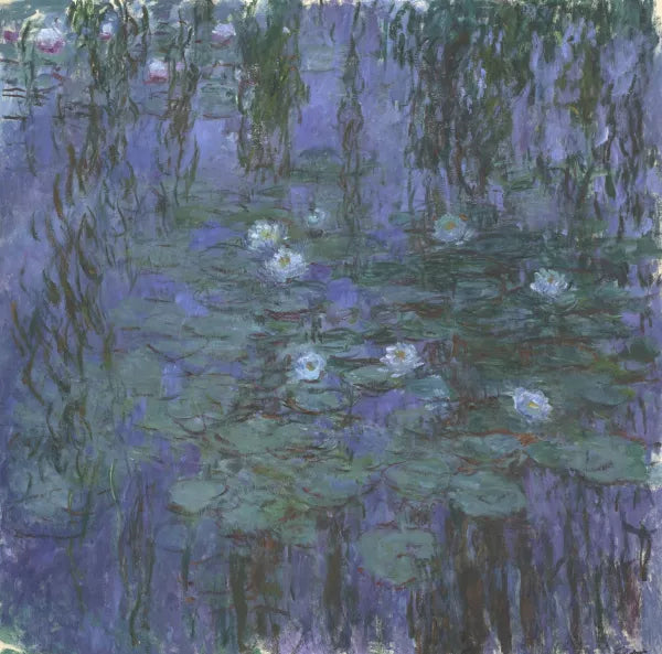 Blue Water Lilies