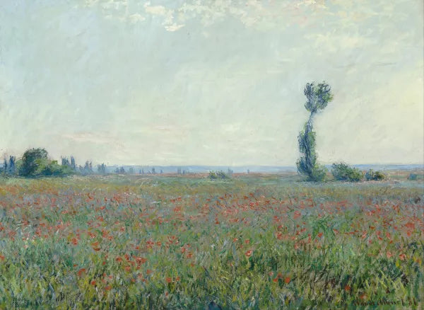 Poppy Field 2